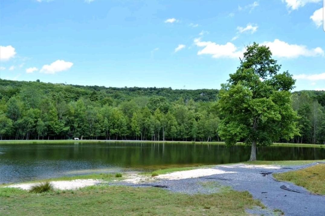 *Amenity-Filled Waterfront Oasis @Saw Creek Estates Near Waterfalls And Hiking* Іст-Страудсберг Екстер'єр фото