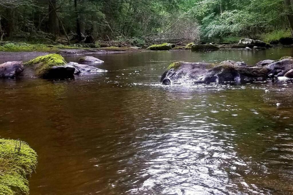 *Amenity-Filled Waterfront Oasis @Saw Creek Estates Near Waterfalls And Hiking* Іст-Страудсберг Екстер'єр фото
